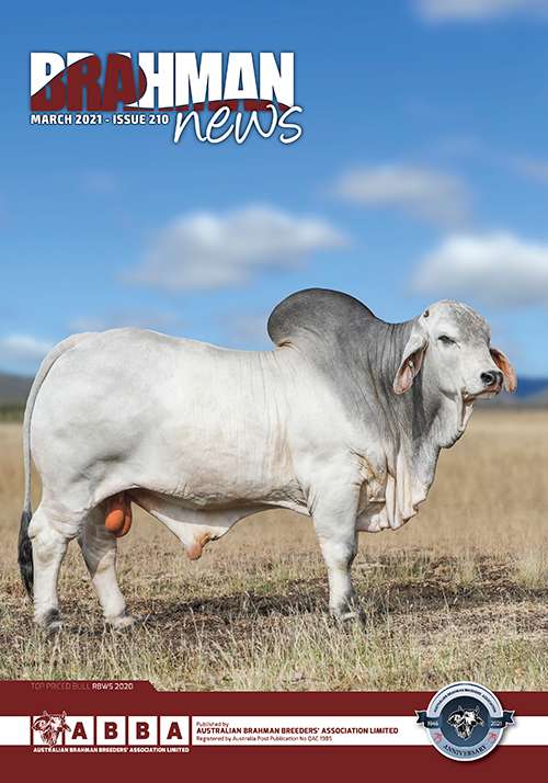 Brahman News March 2021