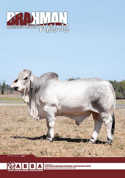 Brahman News March 2022