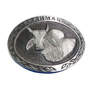 Belt buckle