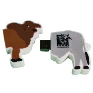 Brahman USB flashdrives