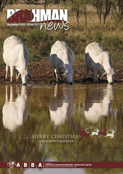 Brahman News December 2022