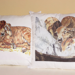Cushion Covers