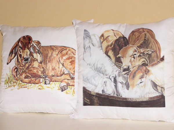 Cushion Covers