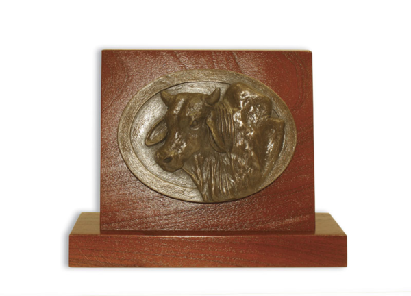 Bull Or Heifer Head On Timber Stand
