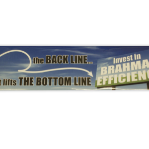 Large Gate Or Truck Sticker