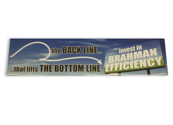 Large Gate Or Truck Sticker
