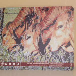Computer Mouse Pad