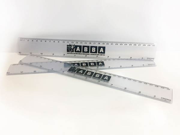 plastic ruler