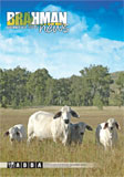 Brahman News 2012 December