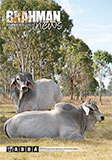 Brahman News 2013 December