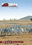 Brahman News June 2020