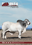 Brahman News March 2019