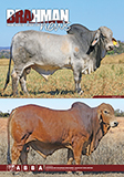 Brahman News March 2020