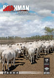 Brahman News 2012 March