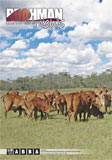 Brahman News 2013 March