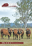 Brahman News September 2020