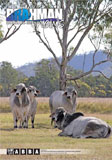 Brahman News 2012 September