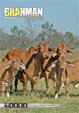 Brahman News 2011 March