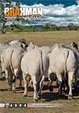 Brahman News 2011 September