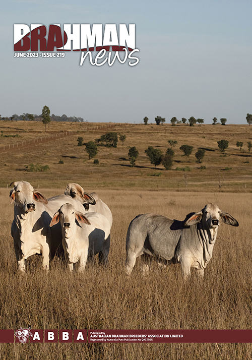 Brahman News June 2023