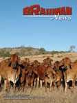 Brahman News December 2007