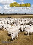 Brahman News December 2008