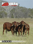 Brahman News December 2009