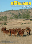 Brahman News June 2007