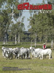 Brahman News March 2007