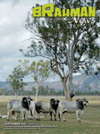 Brahman News September 2007