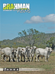 Brahman News September 2009