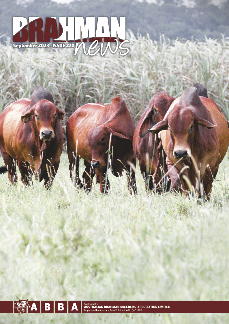 Brahman News September 2023 cover