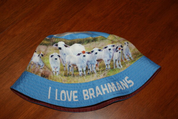 Kids Brahman Reversible Bucket Hat - Image 2