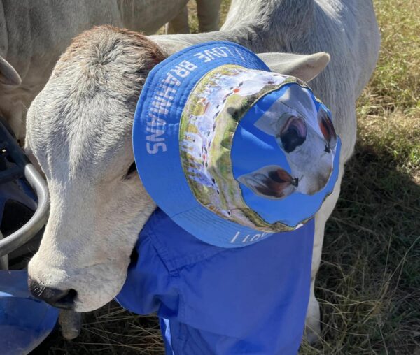 Kids Brahman Reversible Bucket Hat - Image 5