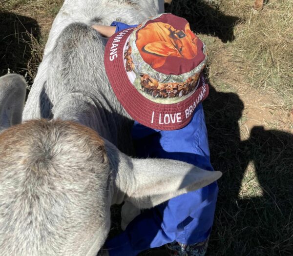 Kids Brahman Reversible Bucket Hat - Image 6
