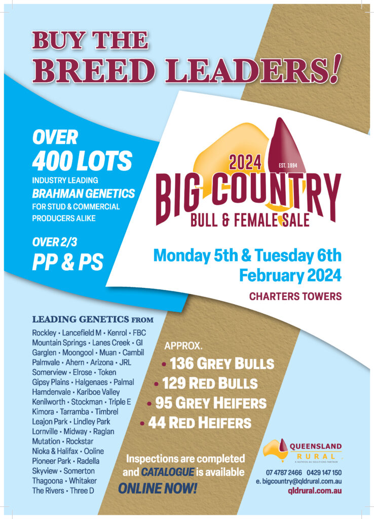 Big Country Bull and Female Sale