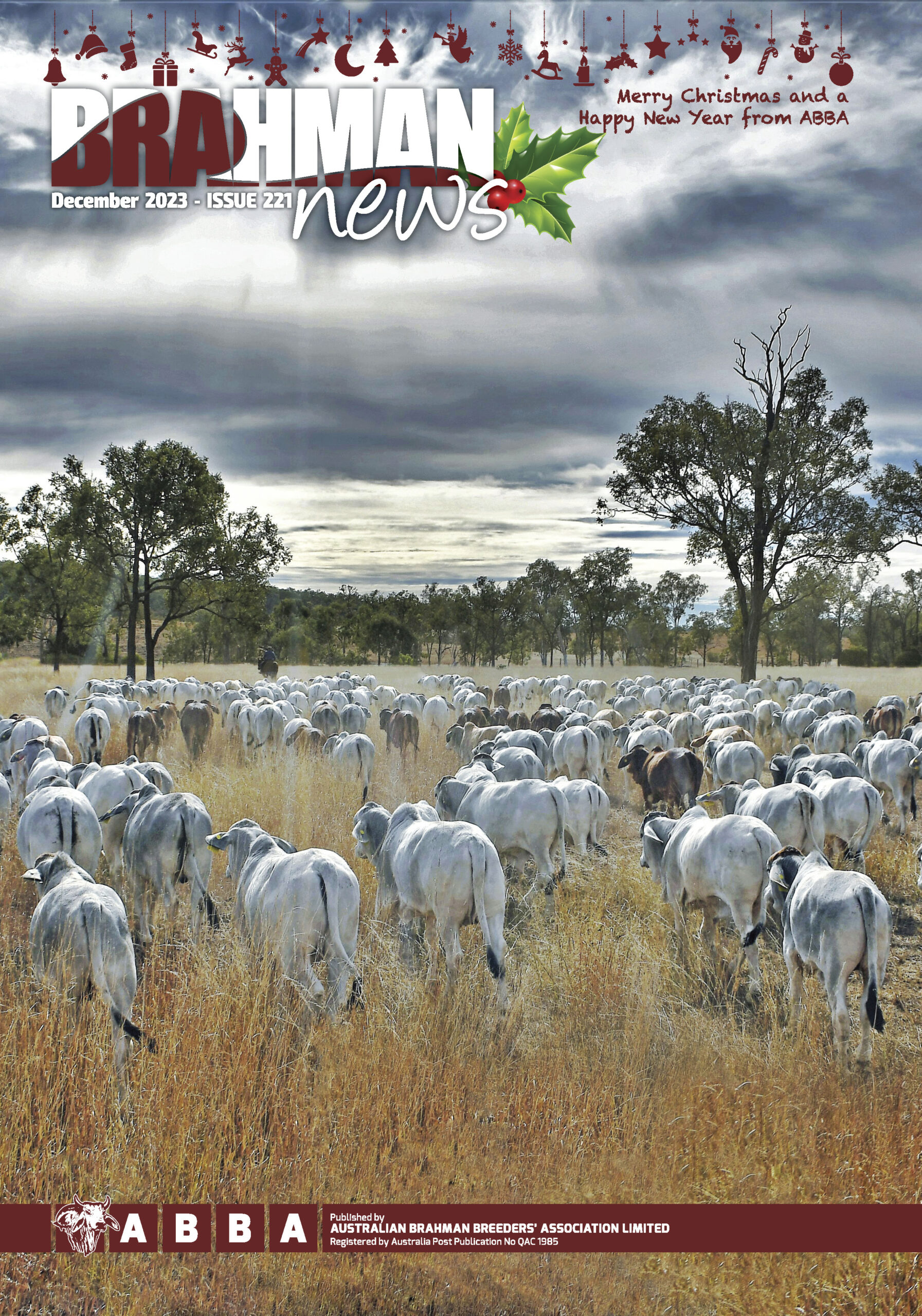 Brahman News December 2023