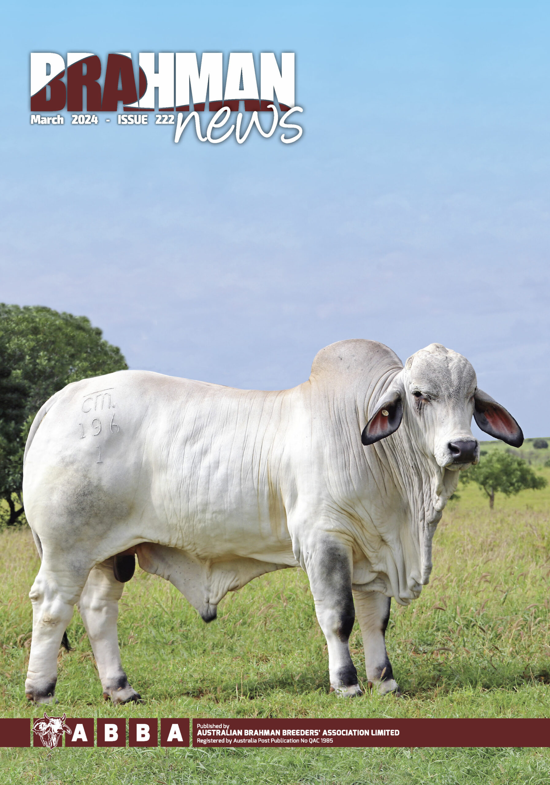 Brahman News March 2024