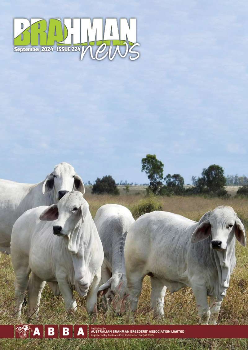 Brahman News September 2024
