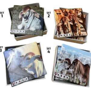 Drink Coaster Set - Ceramic