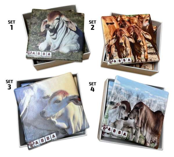Drink Coaster Set - Ceramic