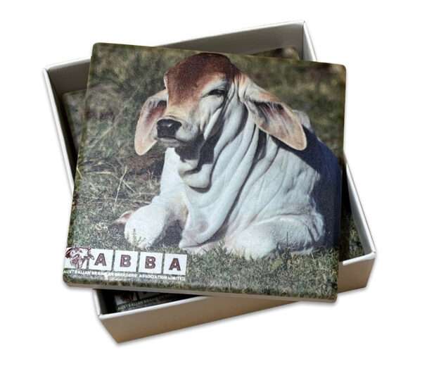 Drink Coaster Set - Ceramic - Image 4