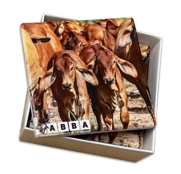 Drink Coaster Set - Ceramic - Image 3
