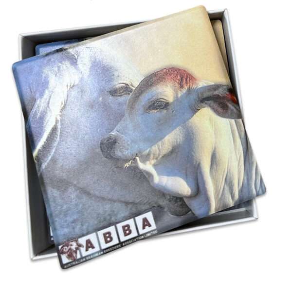 Drink Coaster Set - Ceramic - Image 2