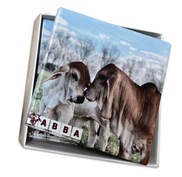 Drink Coaster Set - Ceramic - Image 5